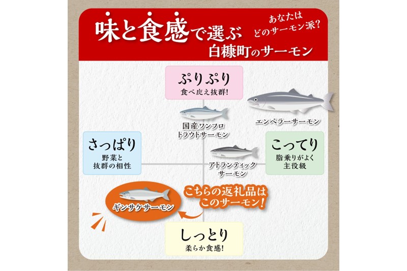 ギンサケサーモン【1kg】 小分け 下処理不要 絶品の「塩締め」レシピ ふるさと納税 海鮮 サーモン 鮭 魚 銀鮭 刺身 生食用 さけ サケ ふるさと ランキング 人気 魚介類 魚介 北海道 白糠町