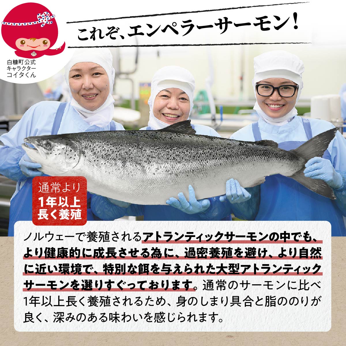 ※2026年2月末までにお届け※エンペラーサーモン≪プレーンタイプ≫【1.8kg】