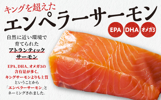 エンペラーサーモン 900g サーモン 鮭 小分け エンペラー を超えた キングサーモン アトランティックサーモン さけ サケ 魚 ふるさと 海鮮 海鮮食品 魚介類 魚介 刺身 カルパッチョ ムニエル レア焼き 食べ方いろいろ 送料無料 人気 ランキング 北海道 白糠町