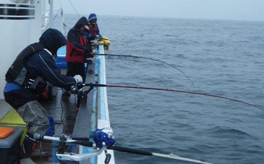 ファミリー向け船釣り体験【5名様までご利用可能 道具レンタル無料】