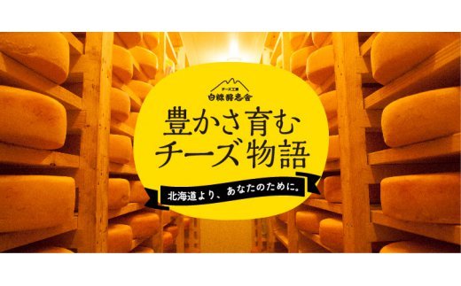 ãæ°ééå®ãçœç³ é
ªæµèããŒãºã»ããã3çš®é¡Ã2çµã