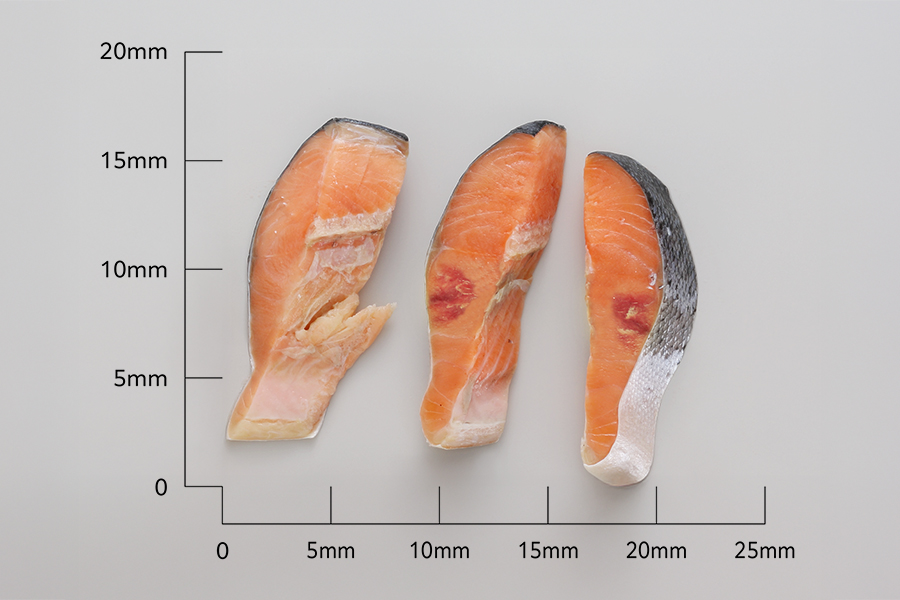 【訳あり】アトランティックサーモン 塩切身 小分け包装【1kg】