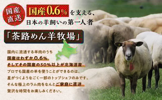 焼肉用ラム肉スライス【250g×2パック、オリジナルスパイス10g】