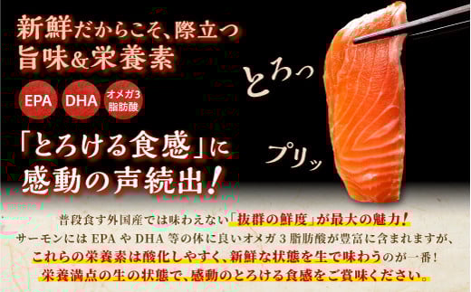 蝗ス逕」繝ッ繝ウ繝輔Ο繝シ繧コ繝ウ繝医Λ繧ヲ繝医し繝シ繝「繝ウ縲800g縲