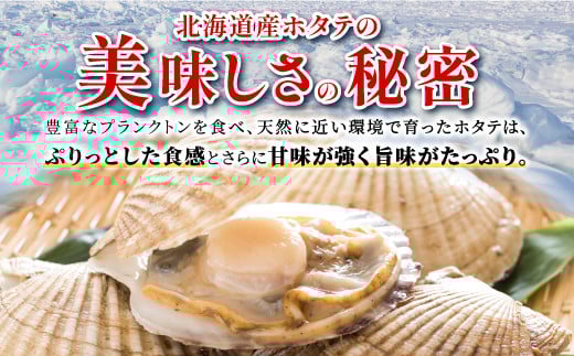 オホーツク産お刺身用ホタテ特大サイズ　 750g (250g×3) ホタテ ほたて 訳あり 大粒 訳ありほたて 訳ありホタテ ほたて貝柱 ホタテ貝柱 北海道産ほたて 北海道産ホタテ 海鮮 特大 大粒ほたて 大粒ホタテ 北海道 おすすめ 人気 ランキング 帆立 天然 ふるさと納税 冷凍ほたて 冷凍ホタテ 北海道産 国産 冷凍帆立 天然帆立 白糠町