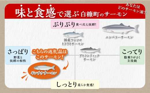 ギンサケサーモン【800g】 小分け 下処理不要 絶品の「塩締め」レシピ ふるさと納税 海鮮 サーモン 鮭 魚 銀鮭 刺身 生食用 さけ サケ ふるさと ランキング 人気 魚介類 魚介 北海道 白糠町