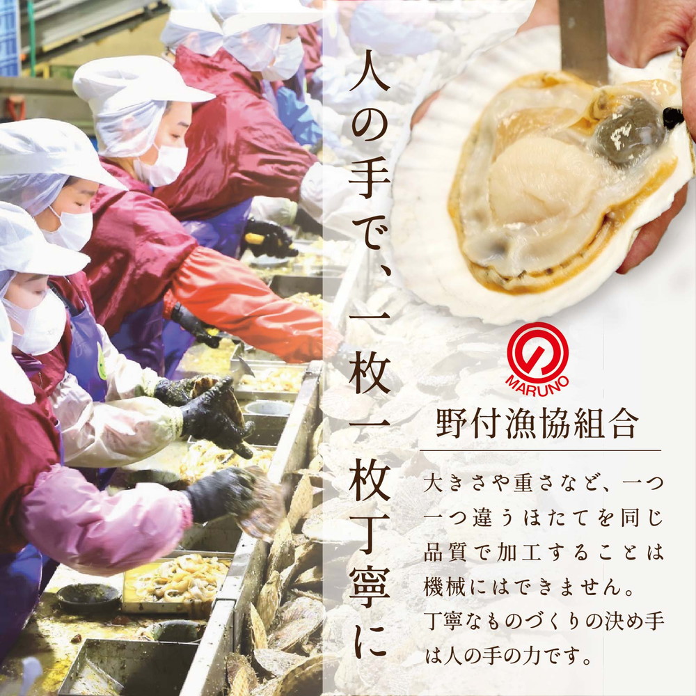 【毎月3ヶ月定期便】北海道 野付産 漁協直送 冷凍ホタテ 貝柱大粒ホタテ500ｇ