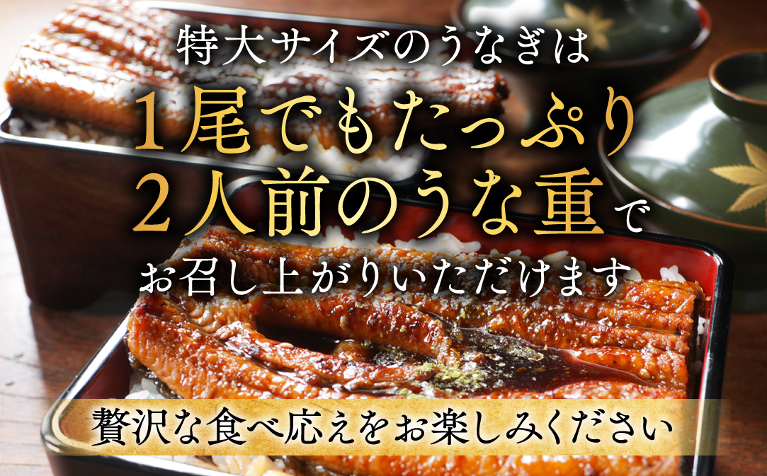 国産 希少 極大 特上うなぎ(250g×4尾)【OT000OE40】