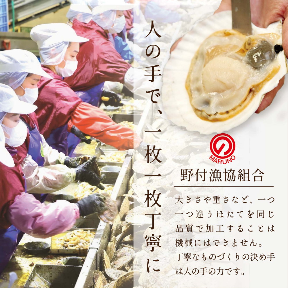 【毎月4ヶ月定期便】北海道 野付産 漁協直送 冷凍ホタテ 貝柱大粒ホタテ500ｇ