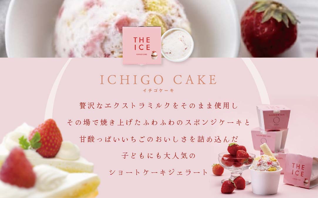 【毎月4回定期便】【THE ICE】5種食べ比べ 12個セット【CJM040207】