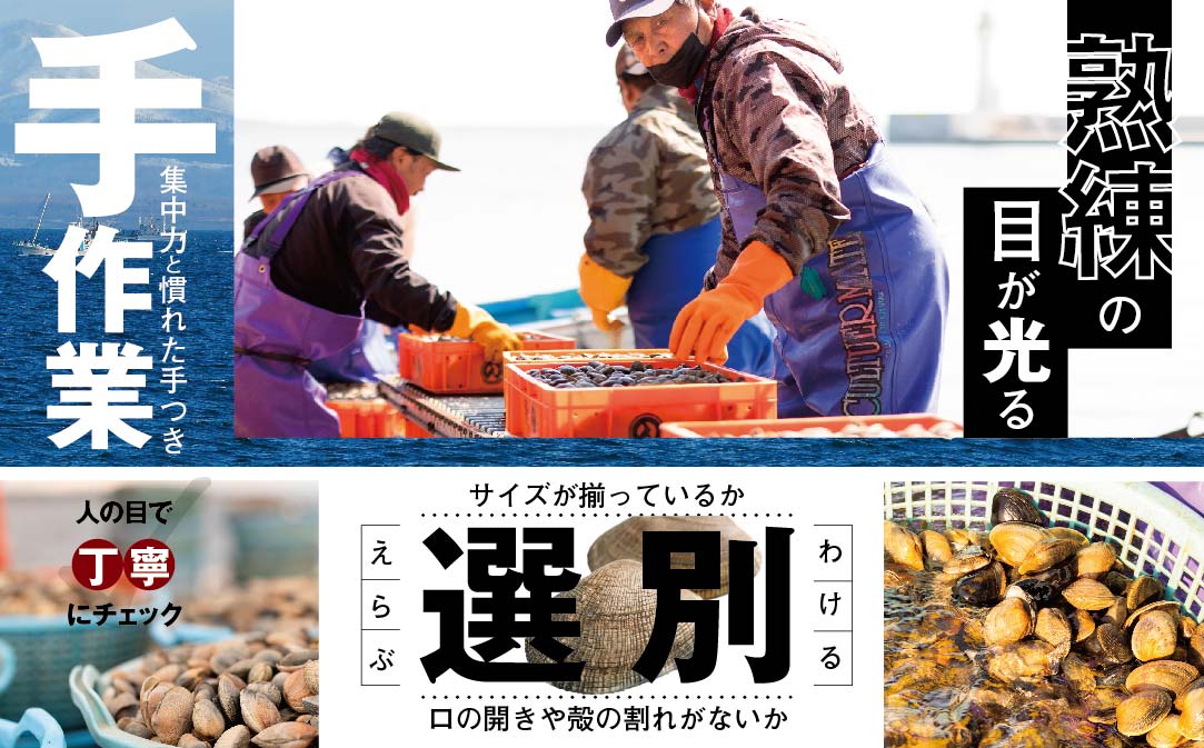 北海道 野付産 天然 冷凍あさり  4kg (500g×8)【UY0000021】