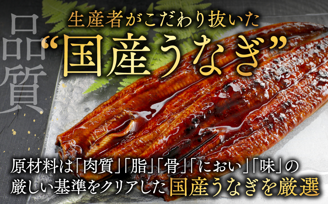 （6月発送）国産　特大　特上うなぎ 2尾 合計 380g 以上【OT000O190】