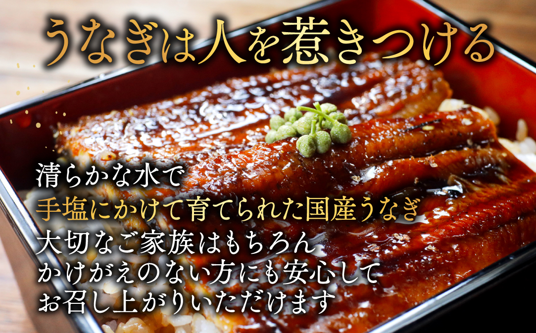 （6月）国産 特大 特上うなぎ(190g×3尾)