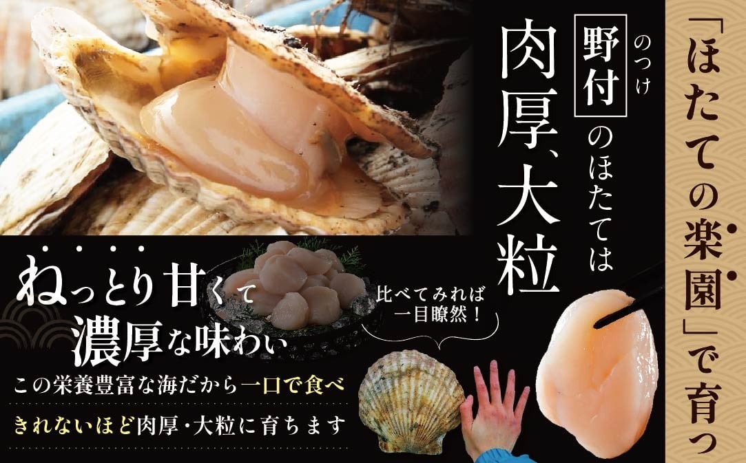 北海道野付産 特大ほたて 500ｇ 個包装（13～15玉前後）（Mサイズ）【KN0000024】