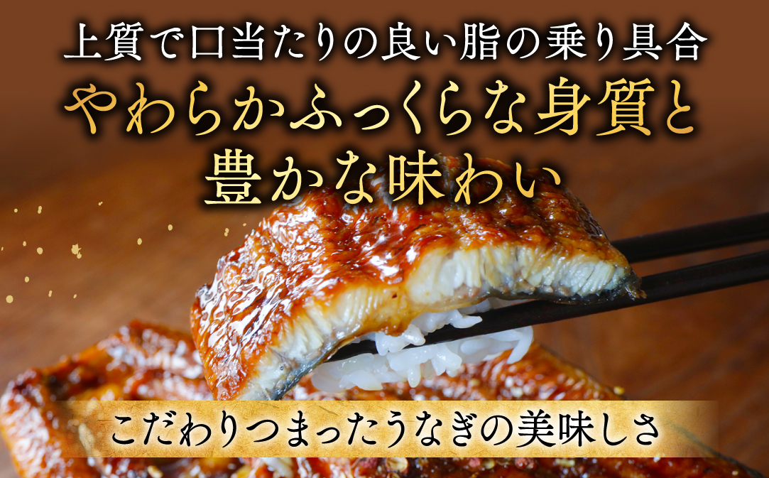 国産 希少 極大 特上うなぎ(250g×4尾)【OT000OE40】