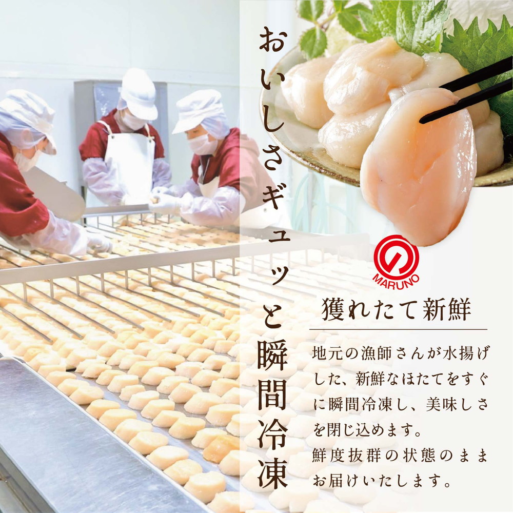 【毎月9ヶ月定期便】北海道 野付産 冷凍ホタテ 貝柱 旨粒ホタテ500ｇ