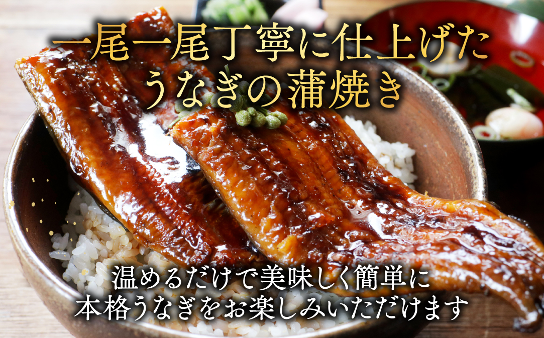 （6月発送）国産　特大　特上うなぎ 2尾 合計 380g 以上【OT000O190】