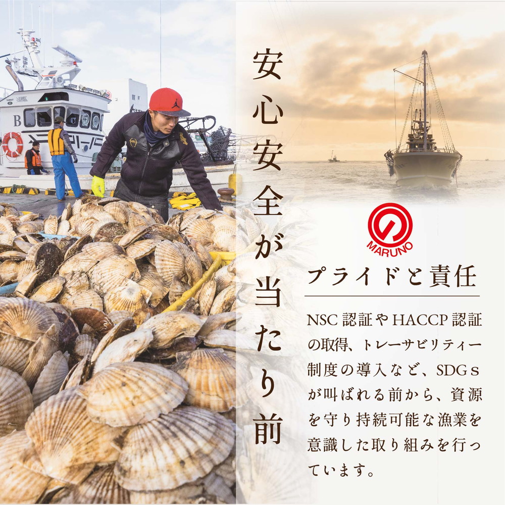【毎月6ヶ月定期便】北海道 野付産 漁協直送 冷凍ホタテ 貝柱大粒ホタテ500ｇ