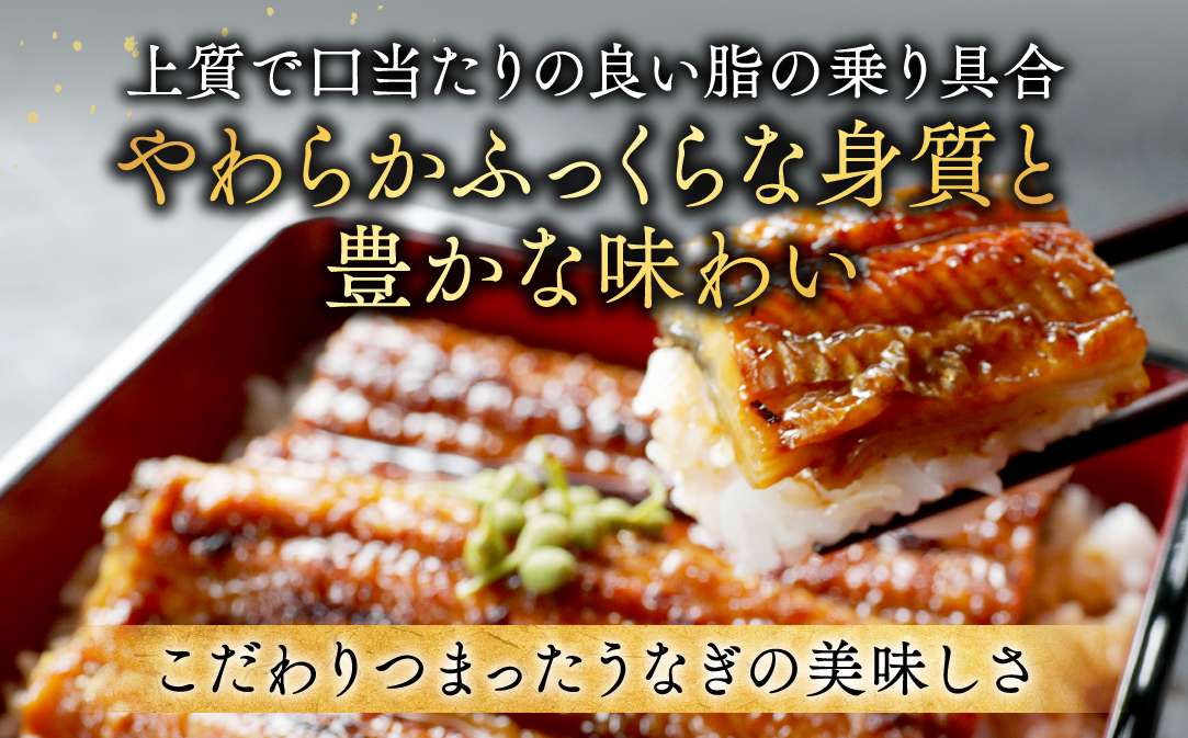 （6月発送）国産　特大　特上うなぎ 2尾 合計 380g 以上【OT000O190】