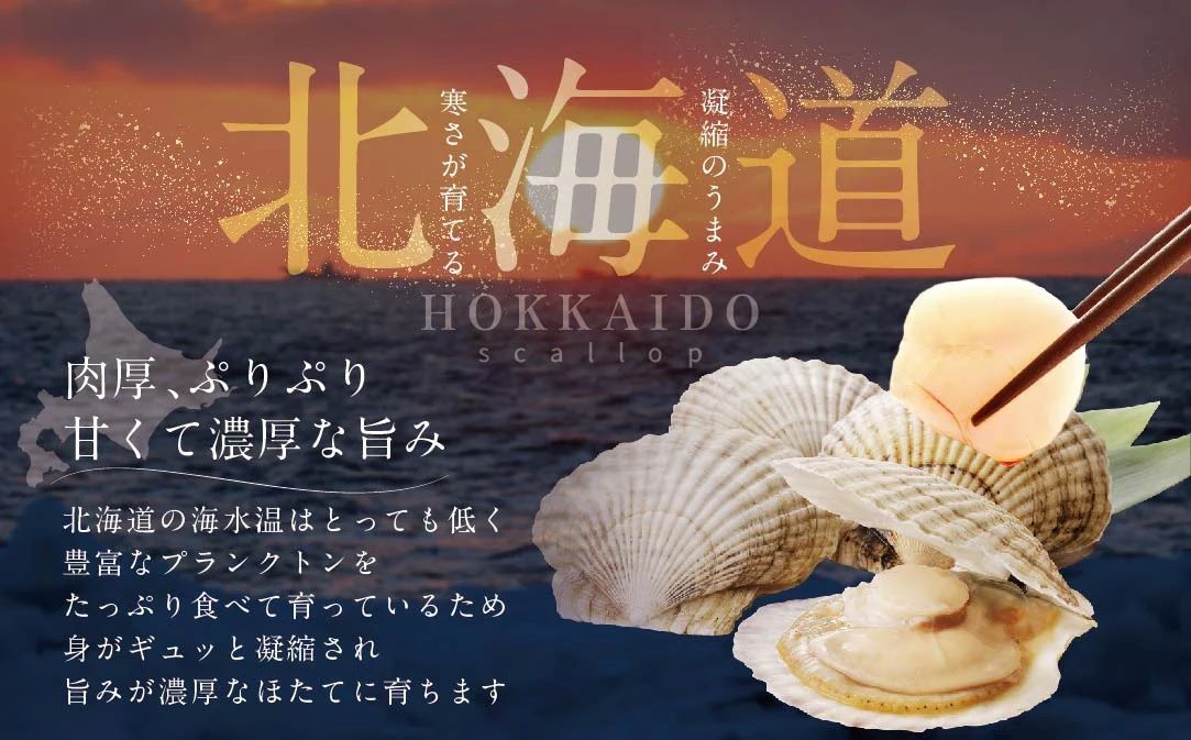 訳あり 北海道産冷凍ホタテ1.6kg（18～28粒前後×4箱）【MT0004TR0】（ ほたて ホタテ ホタテ貝柱 帆立貝 帆立貝柱 北海道 別海町 ふるさと納税 ）													