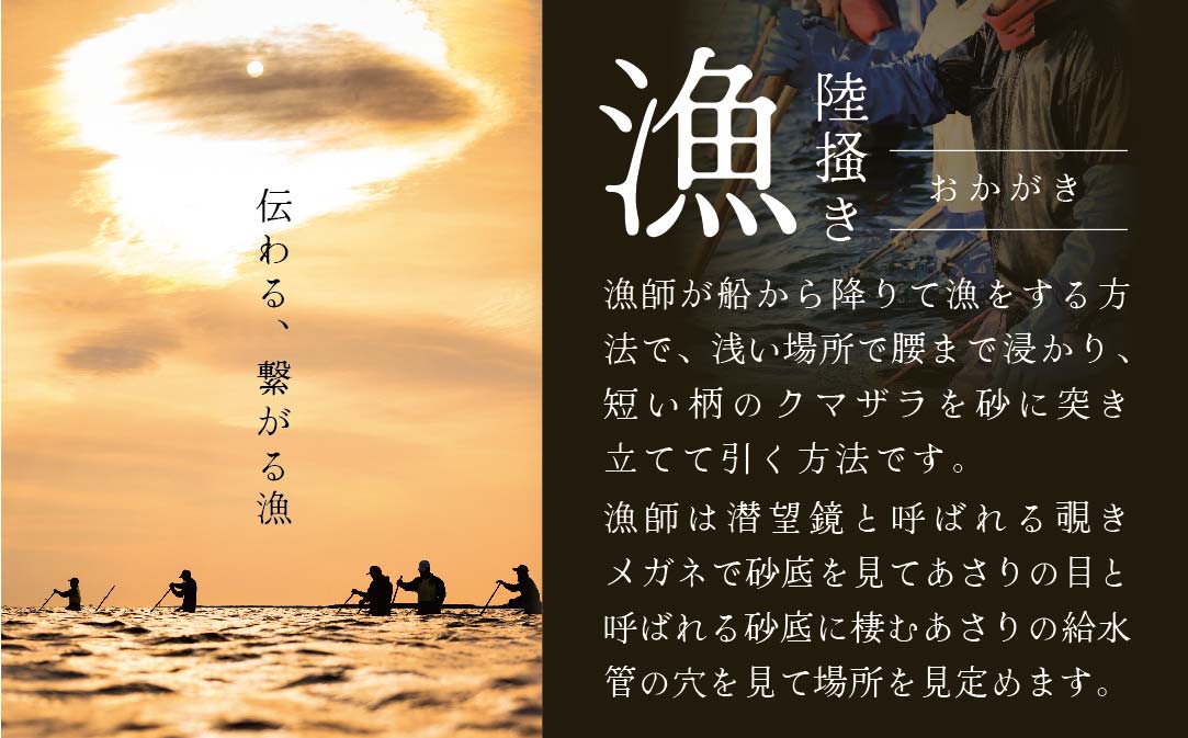 北海道 野付産 天然 冷凍あさり  4kg (500g×8)【UY0000021】