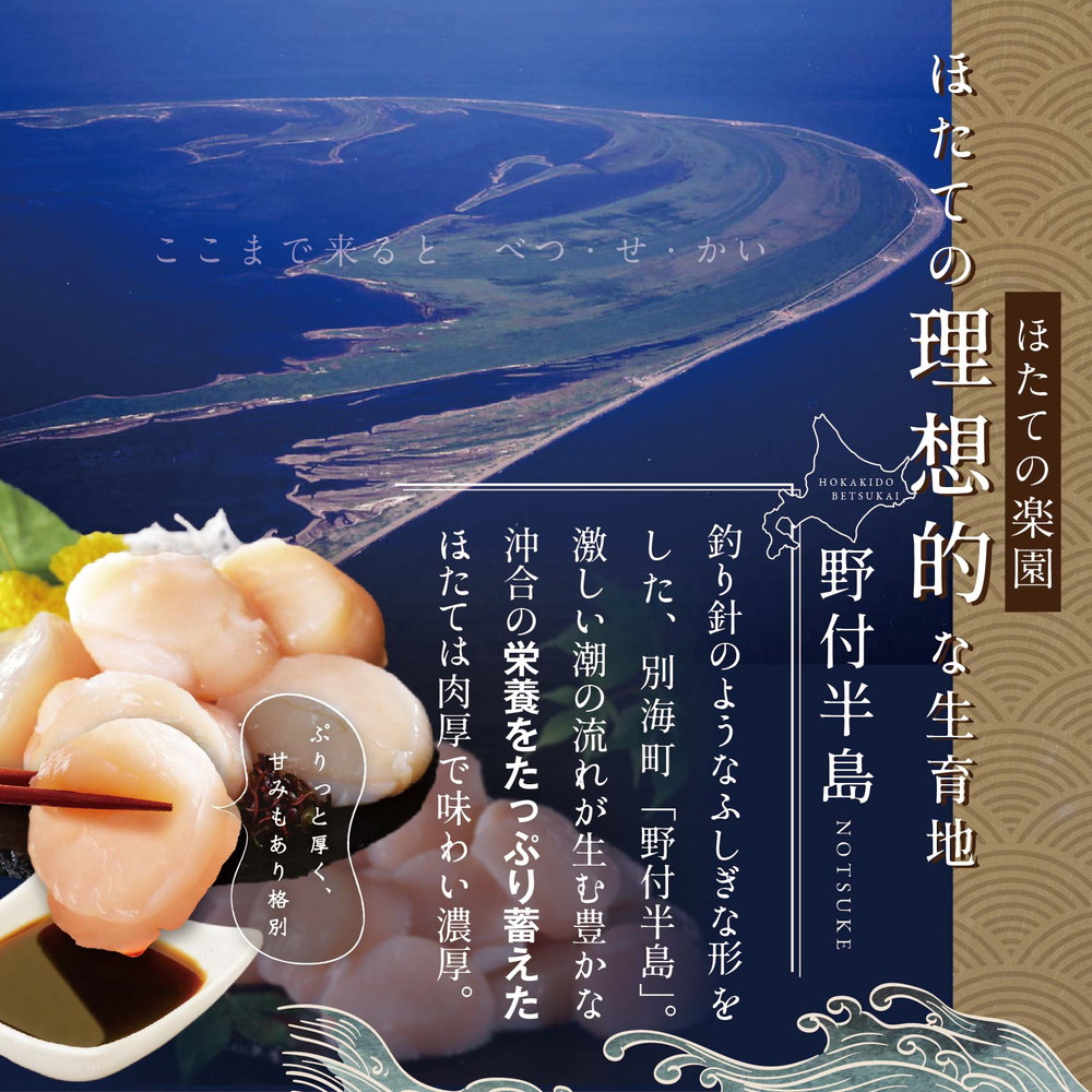 【毎月4ヶ月定期便】北海道 野付産 漁協直送 冷凍ホタテ 貝柱大粒ホタテ500ｇ