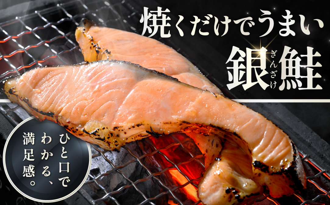 蝪ゥ驫魄ュ蛻霄ォ 3.0kg (1.5kgテ2邂ア)縲信T0002TZ0縲