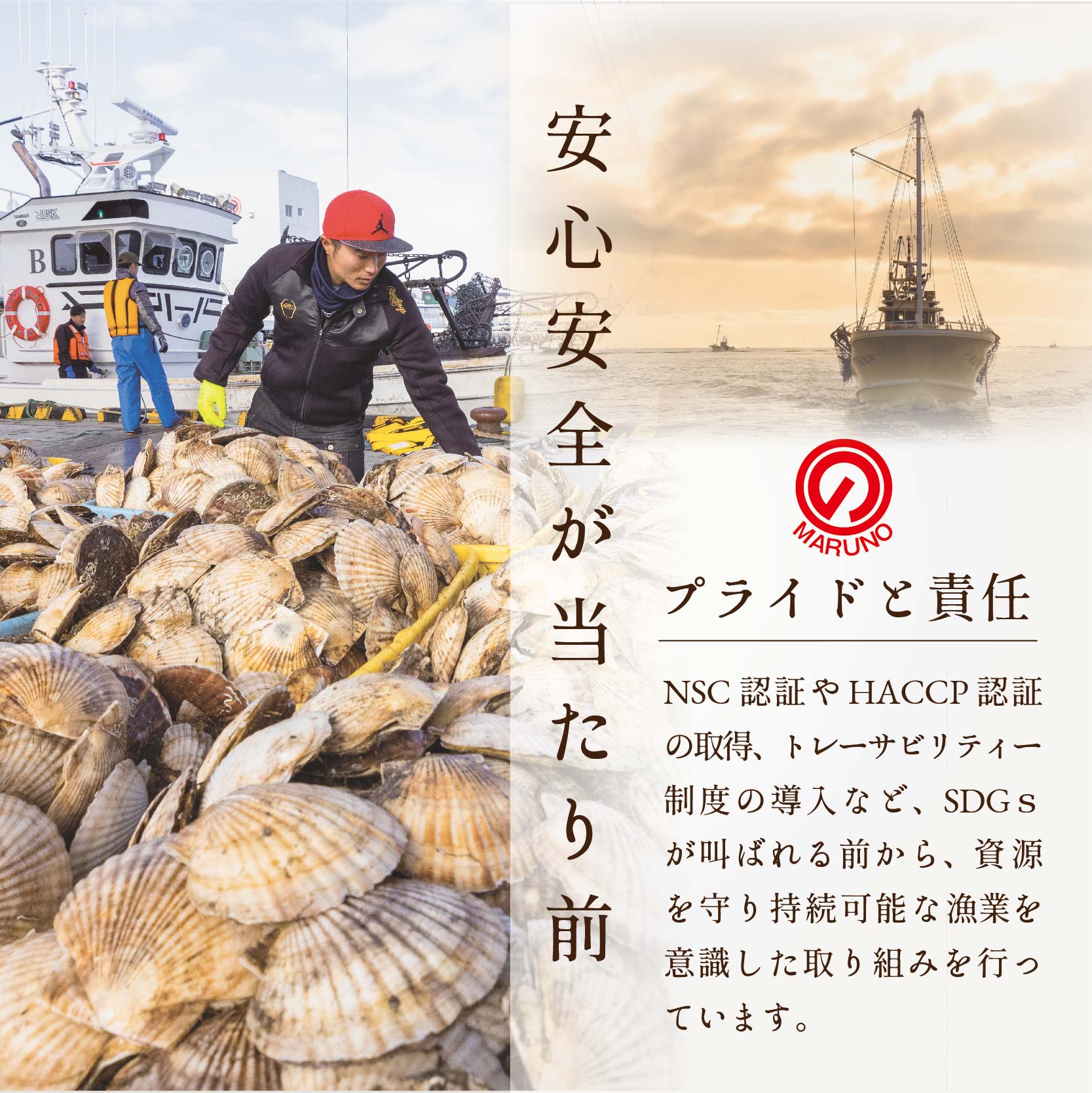 【隔月6回月定期便】北海道 野付産 漁協直送 冷凍ホタテ 貝柱大粒ホタテ1ｋｇ