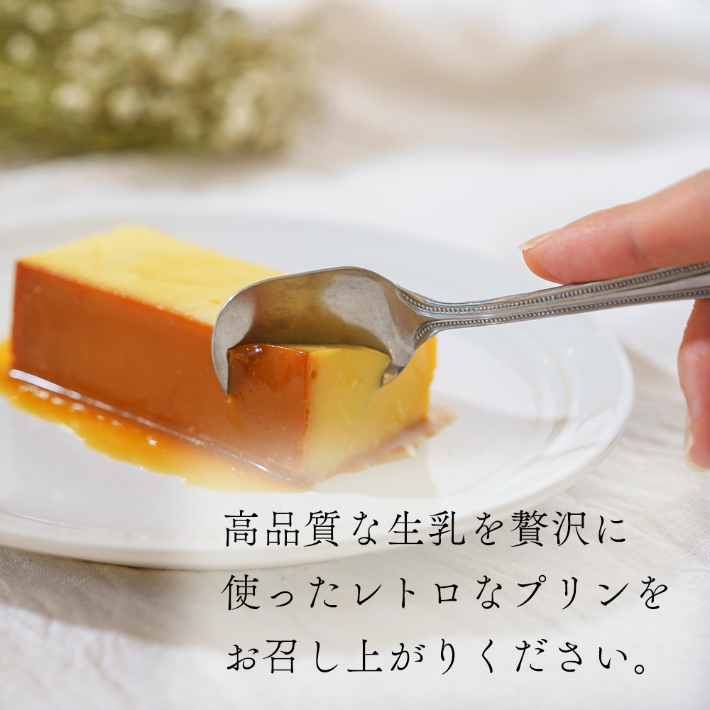 【定期便】濃厚プリン　New Pudding（ニュープディング）（500g×1本）×3ヶ月【be152-0931-100-3】