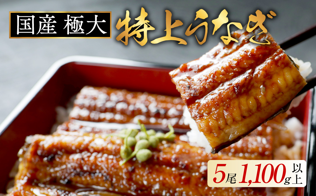 国産 極大 特上うなぎ(220g×5尾)【OT000OD50】