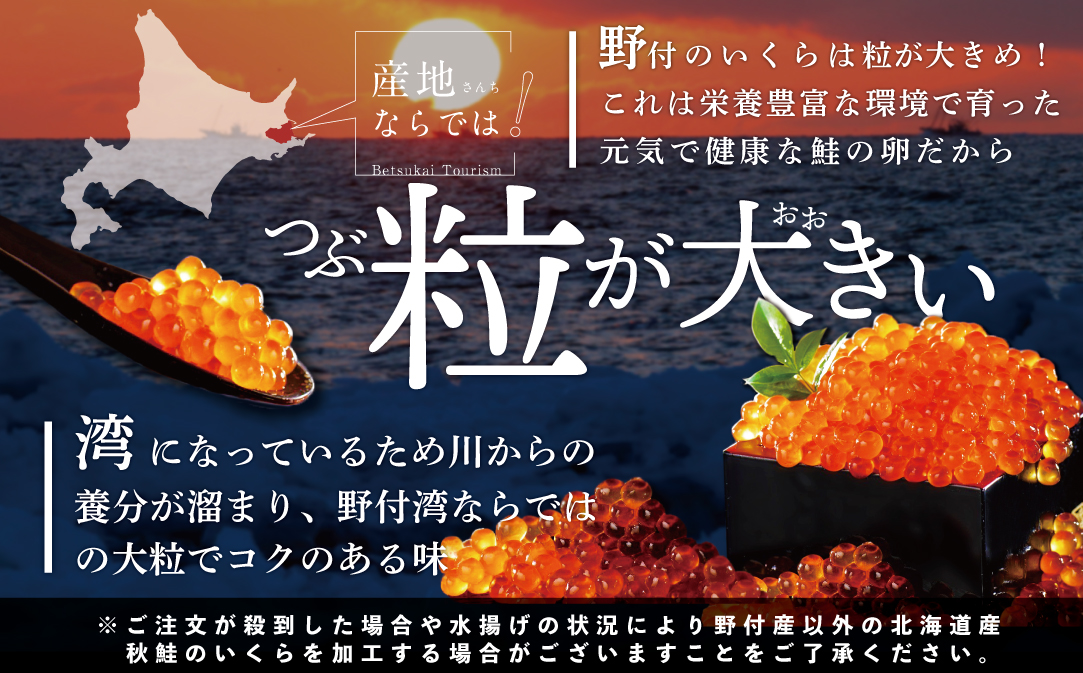 【250g×1パック 8回 お届け】 8ヵ月 定期便 漁協 直送！本場「北海道」 いくら 醤油漬け【NKM08NQ05】( いくら イクラ いくら鮭 イクラ鮭 いくら醤油漬け イクラ醤油漬け 国産 道産 )