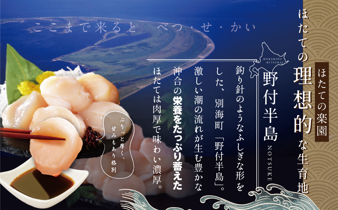 北海道 別海町 野付産 冷凍 ほたて 貝柱 500g（12～16玉前後）【KO0000004】