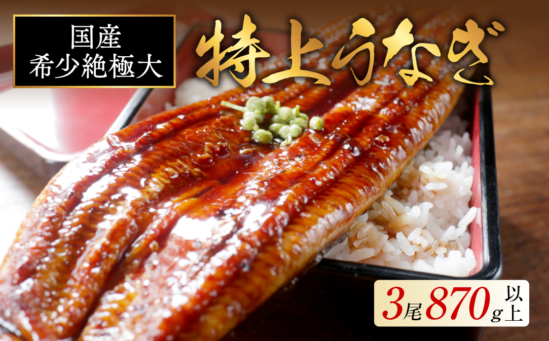 国産 希少 超極大 特上うなぎ(290g×3尾)【OT000OF30】