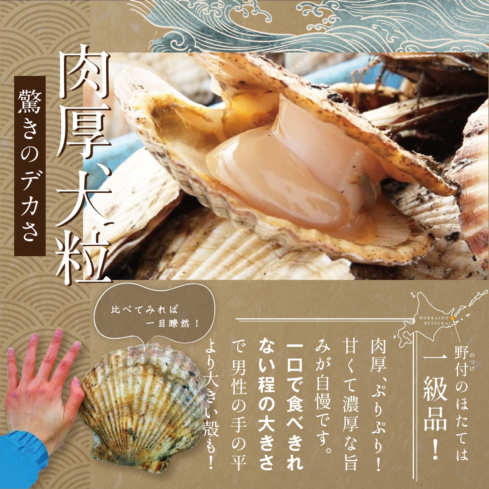 【隔月5回定期便】北海道 野付産 漁協直送 冷凍ホタテ 貝柱 特大ホタテ 1kg