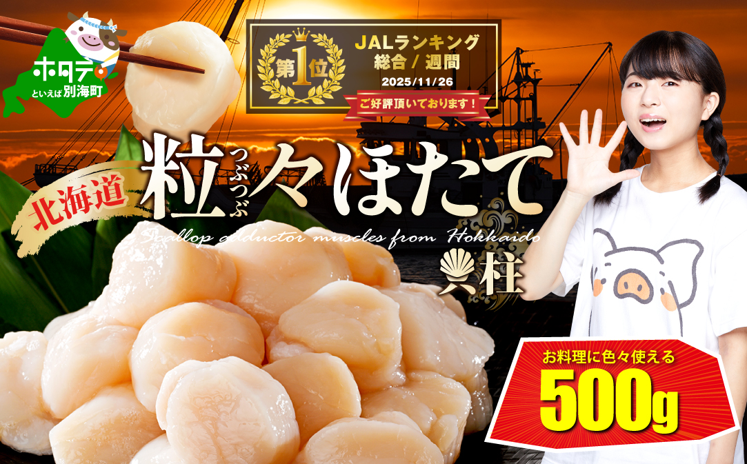 ランキング第1位獲得！【訳あり】北海道 野付産 ホタテ 500g  (  ほたて ホタテ ホタテ貝柱 帆立貝 帆立貝柱 北海道 別海町 ふるさと納税 ）