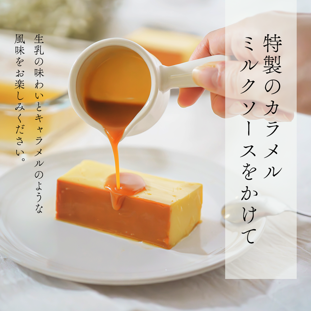 【定期便】濃厚プリン　New Pudding（ニュープディング）（500g×1本）×2ヶ月【be152-0931-100-2】