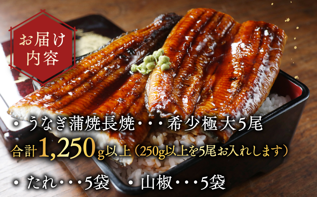 国産 希少 極大 特上うなぎ(250g×5尾)【OT000OE50】