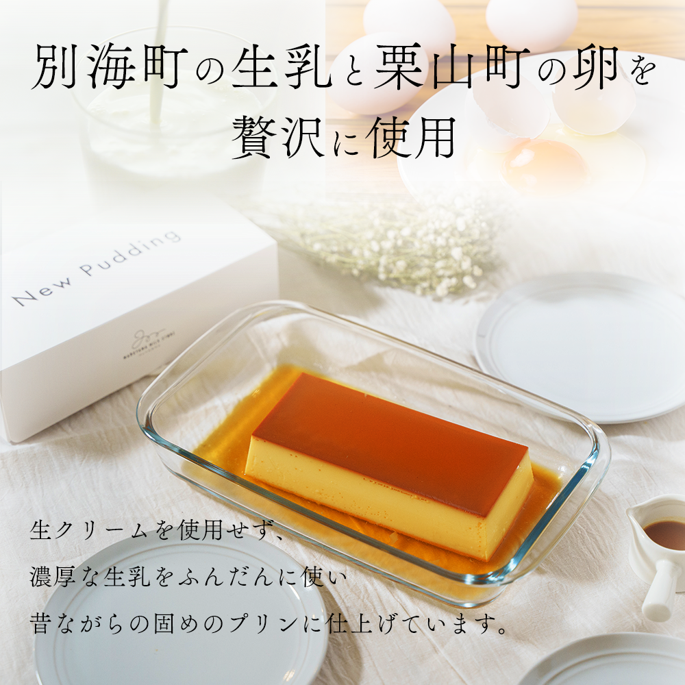 【定期便】濃厚プリン　New Pudding（ニュープディング）（500g×1本）×9ヶ月【be152-0931-100-9】