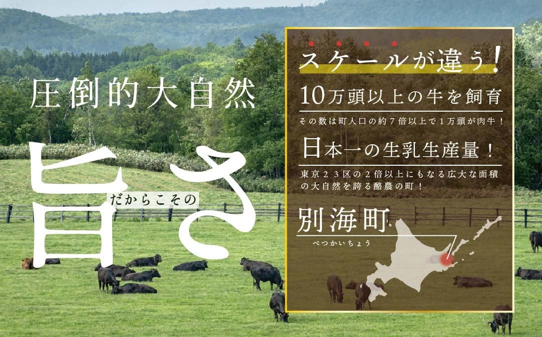 【定期便】別海牛 焼肉用 タレ漬け  1.2kg( 400g×3P )× 8ヵ月 特製 焼肉用つけだれつき【全8回】【北海道 別海町産】【be010-0282-100-8】( 国産 牛肉 )