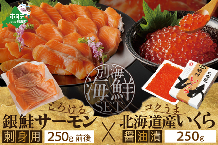 KB,NQ サーモン ･ いくら 海鮮セット 刺身用サーモン 250g + 北海道産醤油いくら250g