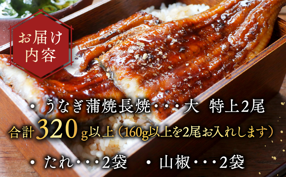 （6月発送）国産　大　特上うなぎ 2尾 合計320g以上【OT000O160】