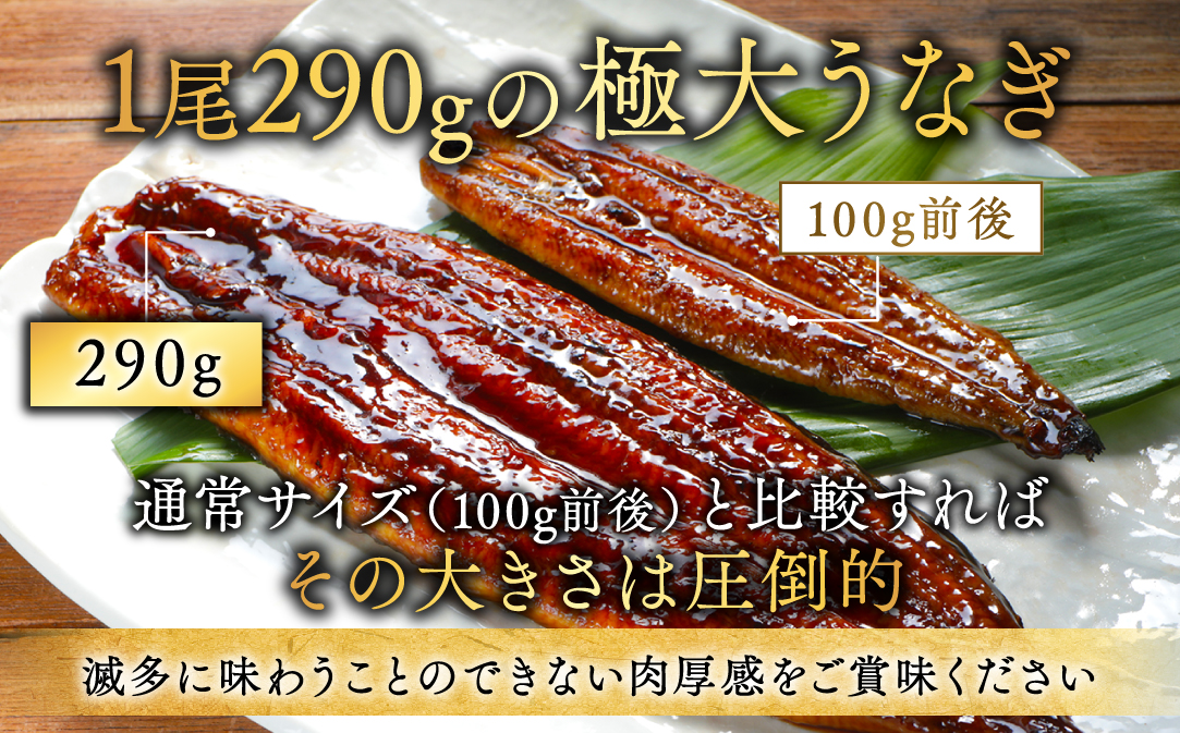 蝗ス逕」 蟶悟ー 雜讌オ螟ァ 迚ケ荳翫≧縺ェ縺(290gテ3蟆セ)縲唇T000OF30縲