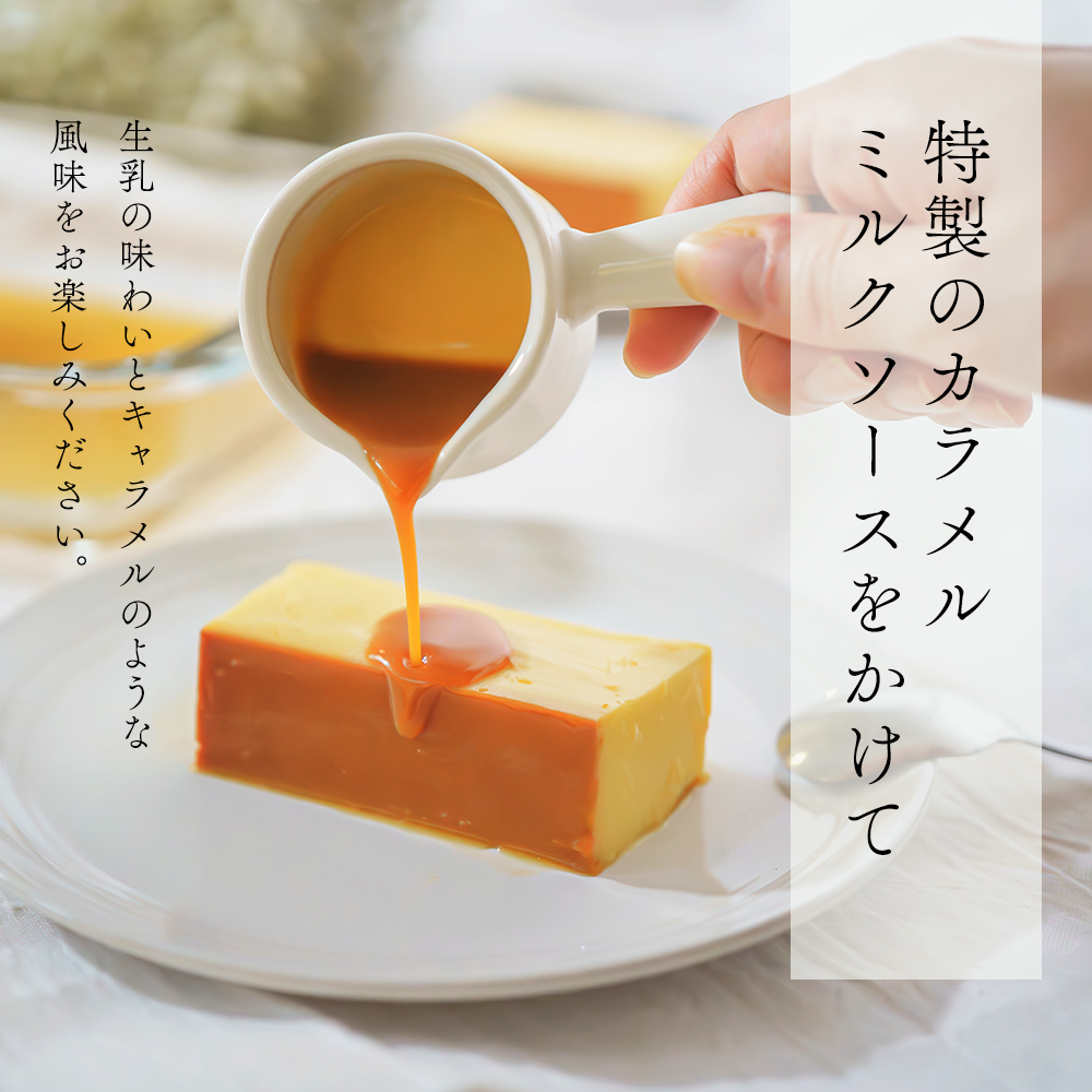 【定期便】濃厚プリン　New Pudding（ニュープディング）（500g×1本）×7ヶ月【be152-0931-100-7】