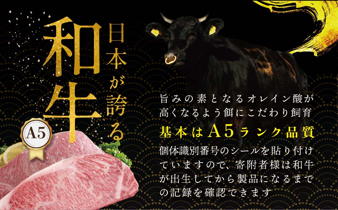 贅沢 ハンバーグ150g×6個 北海道 別海町産 黒毛和牛「 名人和牛」 A5クラス 牛肉 100％ 使用【TB0000003】