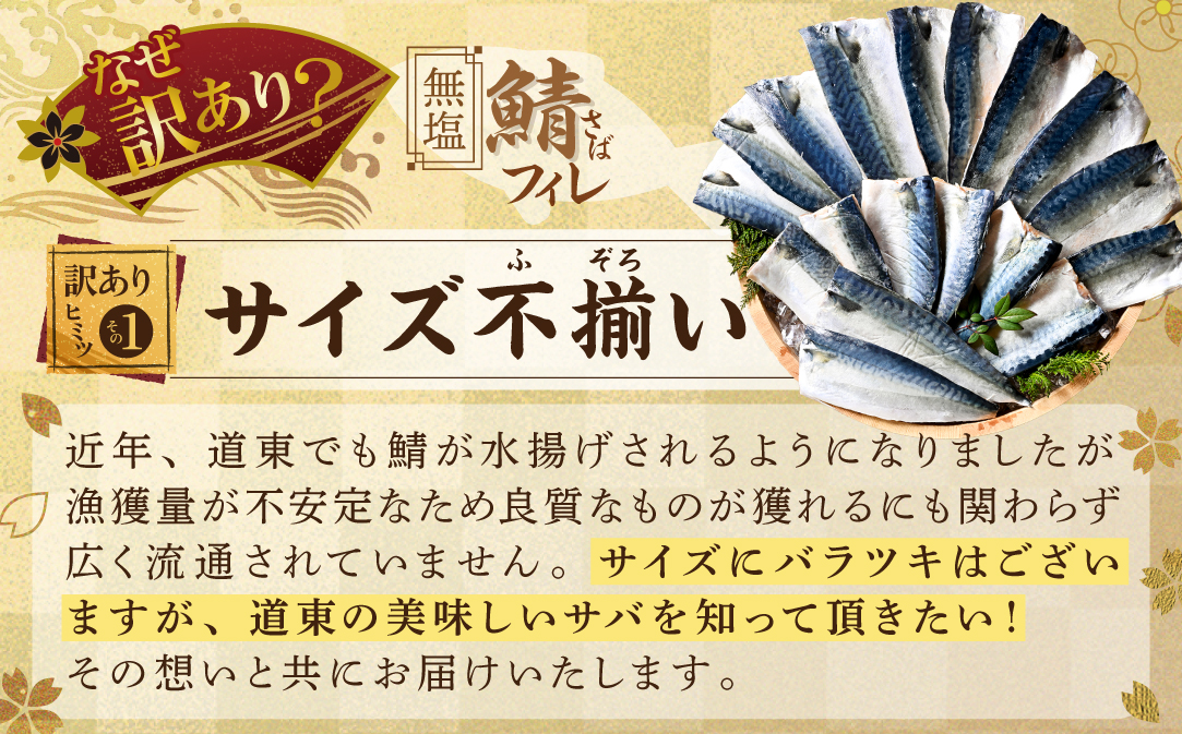 縲占ィウ縺ゅj縲醍┌蝪ゥ 繧オ繝 繝輔ぅ繝ャ 2kg