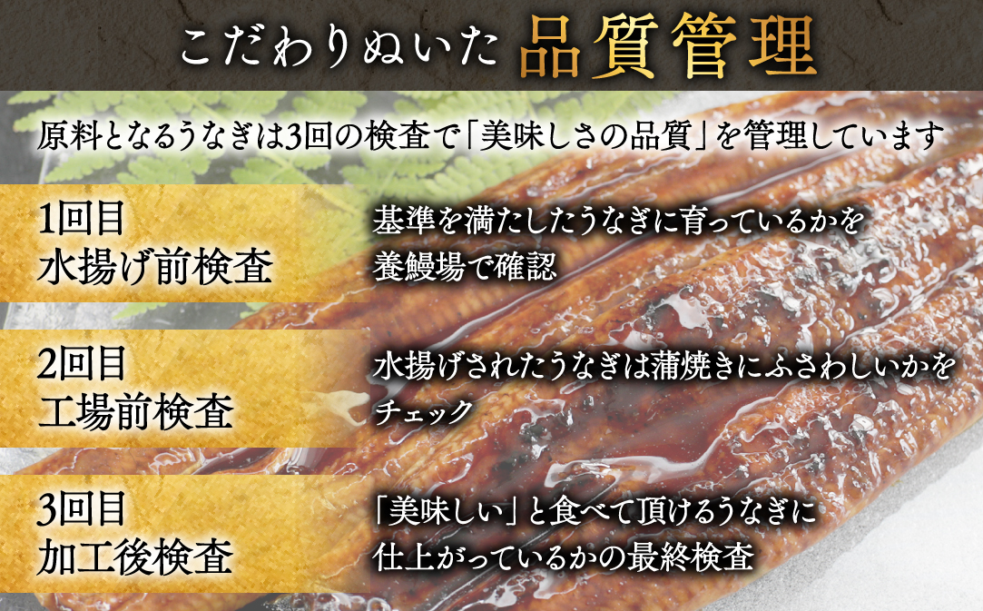 国産 希少 極大 特上うなぎ(250g×5尾)【OT000OE50】