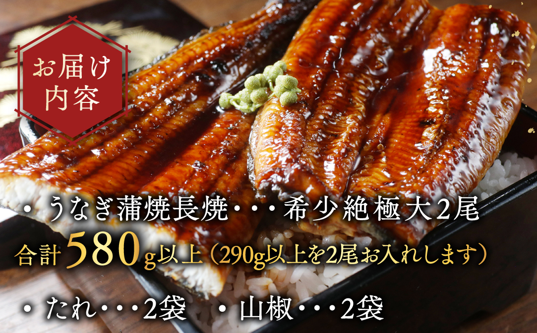 蝗ス逕」 蟶悟ー 雜讌オ螟ァ 迚ケ荳翫≧縺ェ縺(290gテ2蟆セ)縲唇T000O290縲