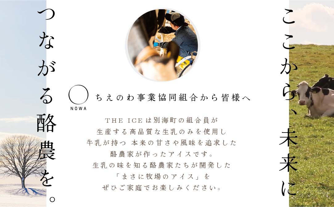 【隔月定期便】【THE ICE】3種詰合せ6個セット×5回定期便 【be003-1072-200-5】