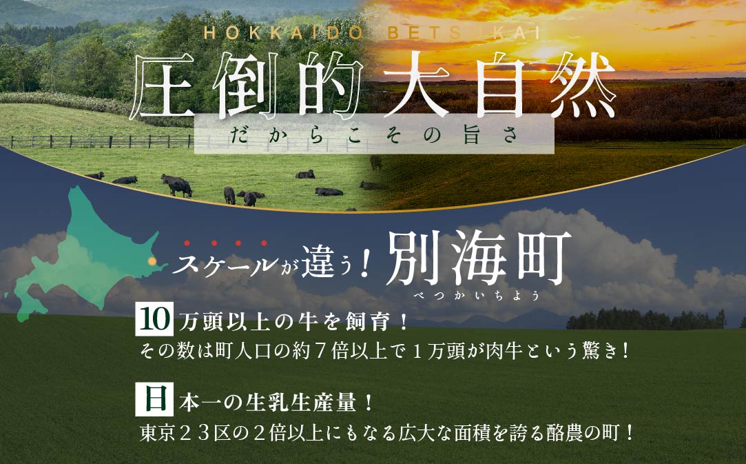 別海牛 使用 ファーストクラスミニハンバーグ 50g×20個【NS0000006】（株式会社ナレッジシェア）