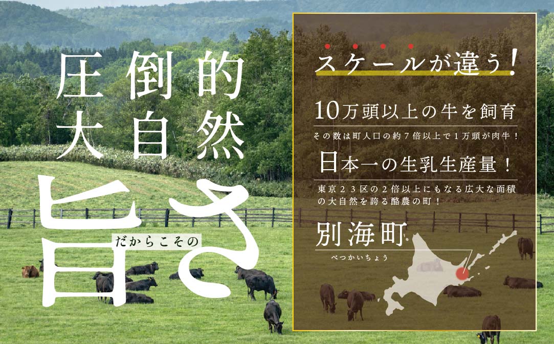 贅沢 ハンバーグ150g×6個 北海道 別海町産 黒毛和牛「 名人和牛」 A5クラス 牛肉 100％ 使用